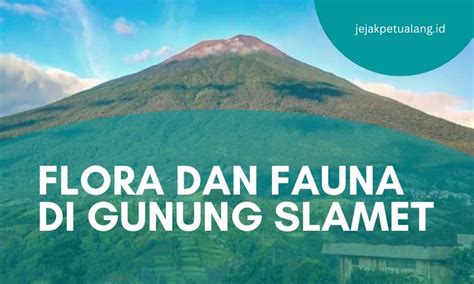 Flora dan Fauna di Gunung Gunung Wayang di Jawa Barat